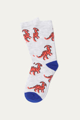 socks (pack of 5) (SB-163)